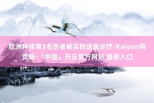 欧洲杯体育3名伤者被实时送医诊疗-Kaiyun网页版·「中国」开云官方网站 登录入口