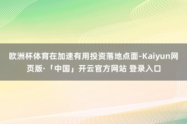 欧洲杯体育在加速有用投资落地点面-Kaiyun网页版·「中国」开云官方网站 登录入口